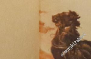 20. Yüzyıl Tarihi, Sayı: 1 - 50; Yıl: 12 Kasım 1969 -  21 Ekim 1970 -