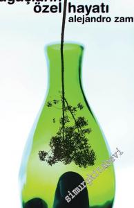 Ağaçların Özel Hayatı -