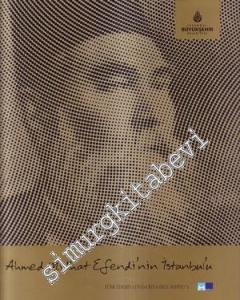 Ahmet Midhat Efendi'nin İstanbul'u -