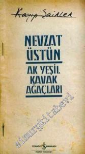 Ak Yeşil Kavak Ağaçları -