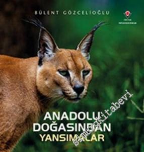 Anadolu Doğasından Yansımalar -        2023