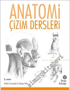 Anatomi Çizim Dersleri -        2017