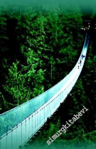 Araştırma Ruhu ve Mahareti: İrdeleyici Psikoterapi Rehberi -