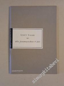 Asla Yazamayacaksın O Şiiri -        2007