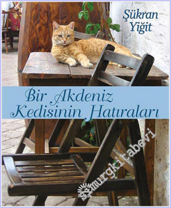 Bir Akdeniz Kedisinin Hatıraları: " Doli'yi Hatırlıyor musun ? " -