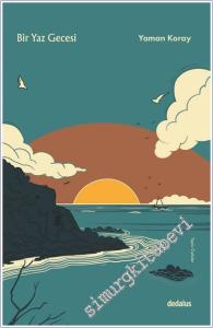 Bir Yaz Gecesi - Toplu Öyküler -        2024