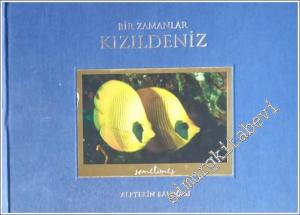 Bir Zamanlar Kızıldeniz VCD'li İMZALI -        2010