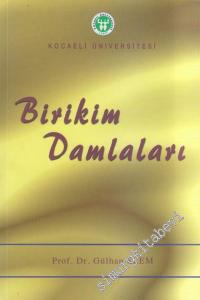 Birikim Damlaları -