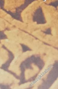 Bitlis Tarihi Mezarlıkları ve Mezar Taşları CİLTLİ -        2001