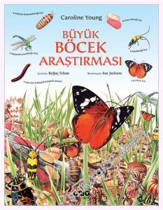 Büyük Böcek Araştırması -         2025