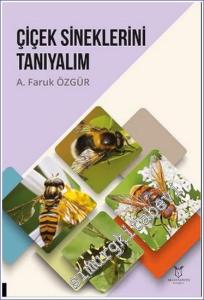 Çiçek Sineklerini Tanıyalım -        2024