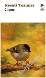 Çılgınsı -        2026