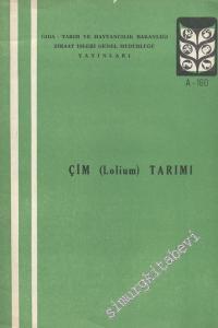 Çim ( Lolium ) Tarımı -