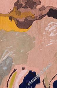 Cinsel Farkın İnşası: Felsefi Bir Problem Olarak Cinsiyet -