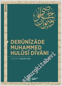 Derunizade Muhammed Hulusi Divanı -        2022