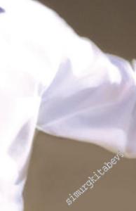 Dirilt Kalbini -        2025