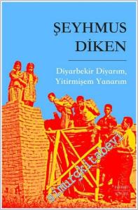 Diyarbekir Diyarım Yitirmişem Yanarım -        2024