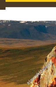 Doğu Avrupa'daki Göktürk (Runik) İşaretli Yazıtlar -