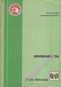 Ergenekon: Milli Mücadele Yazıları -