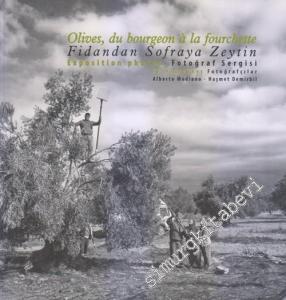 Fidandan Sofraya Zeytin Fotoğraf Sergisi = Olives du Bourgeon à la Fourchette - Exposition Photos -        2017