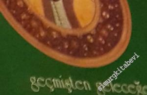 Geçmişten Geleceğe Söğüt -