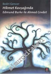 Hikmet Kavşağında: Edmund Burke ile Ahmed Cevdet -