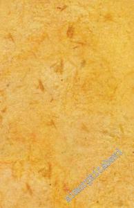 İdeoloji ve Ütopya -