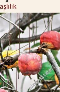 İnsan Davranışı ve Sosyal Çevre 2: Yetişkinlik, Yaşlılık -