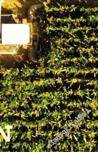 İnsan ve Hayat Dergisi - Tohum - Sayı: 112      Haziran