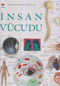 İnsan Vücudu -