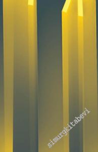 Kapitalist Bilinçdışı: Marx ve Lacan -