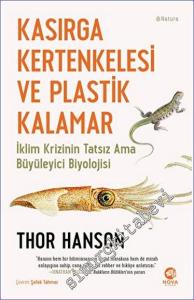 Kasırga Kertenkelesi ve Plastik Kalamar -        2023