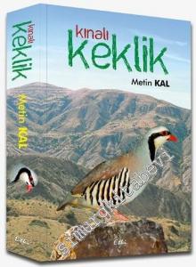 Kınalı Keklik -
