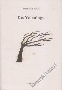 Kış Yolculuğu -        2007