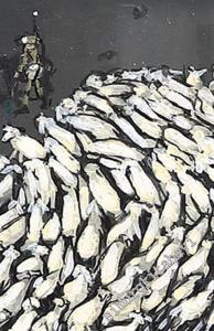 Laiklik, Vatandaşlık, Demokrasi: Türkiye'nin Siyasal Kültürü Üzerine Çalışmalar -