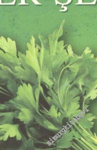 Maydanoz Hakkında Her Şey -