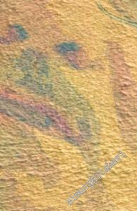 Nasıl Yaşıyoruz -