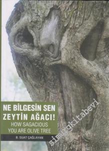 Ne Bilgesin Sen Zeytin Ağacı = How Sagacious You Are Olive Tree -