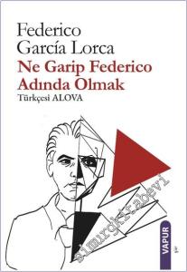 Ne Garip Federico Adında Olmak -        2025