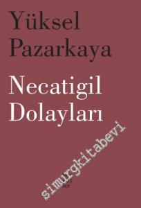 Necatigil Dolayları -