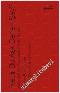 Nedir Bu Aşk Denen Şey : Psikanalitik Çift Psikoterapileri İçin Bir Rehber -        2022