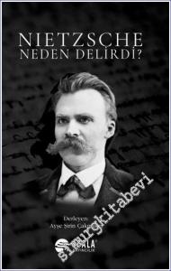 Nietzsche Neden Delirdi -        2024