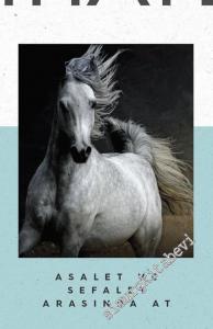 Nihayet Dergisi - Dosya: Asalet ve Sefalet Arasında At - Sayı: 43      Temmuz