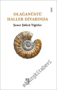 Olağanüstü Haller Diyarı -        2025