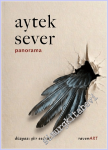 Panorama : Düzyazı Şiir Seçkisi -