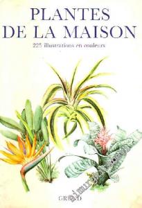 Plantes De La Maison 255 Illustrations En Couleurs -