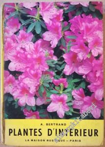 Plantes d'Intérieur -