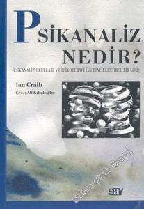 Psikanaliz Nedir?: Psikanaliz Okulları ve Psikoterapi Üzerine Eleştirel Bir Giriş -        2008