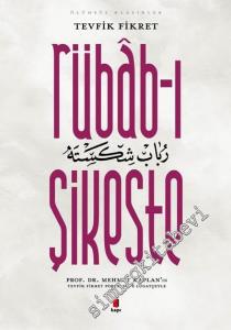 Rübab-ı Şikeste -