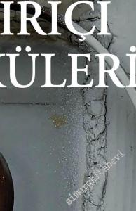 Şehiriçi Öyküleri -